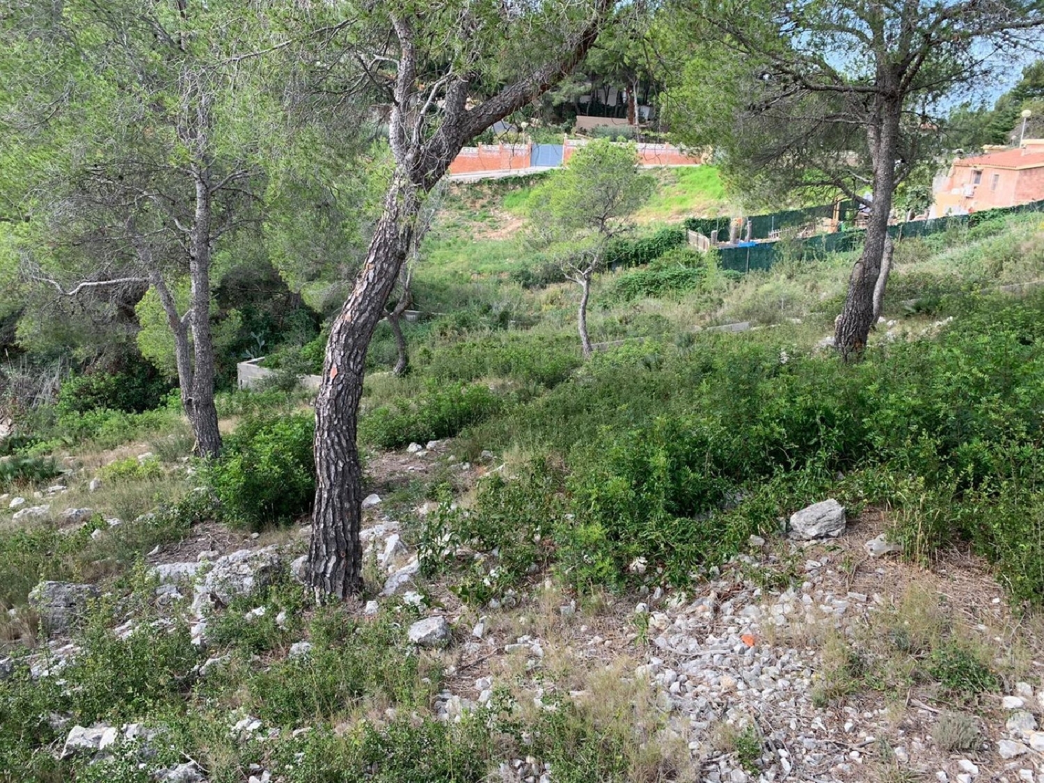  till salu tomt Les Casetes De La Gornal Alt Penedès 7