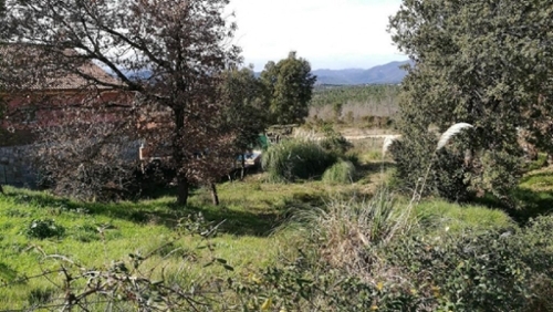 Les Comes Selva tomt foto 6247437