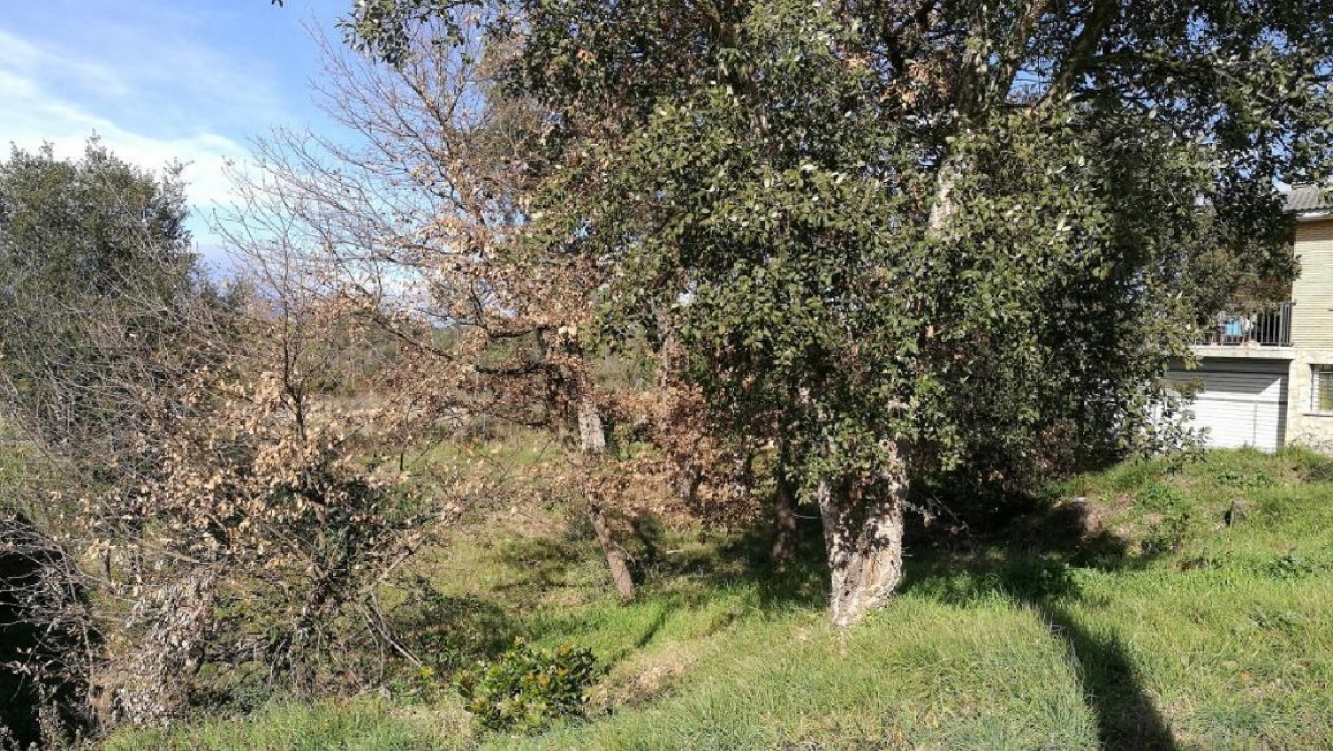  kaufen Grundstück Vallcanera Selva 8