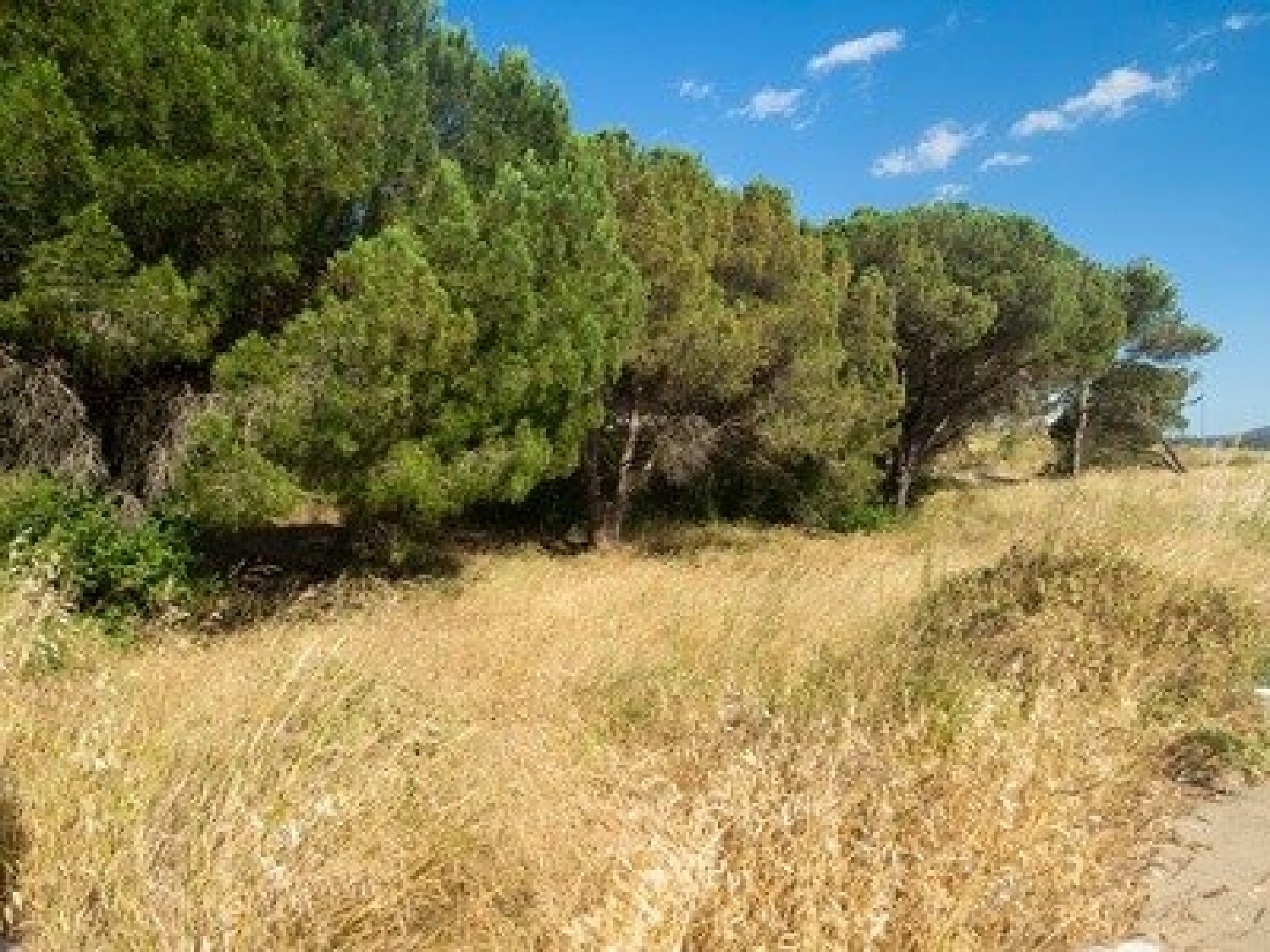  till salu tomt Les Corts Alt Empordà 4