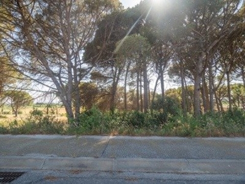 Les Corts Alt Empordà tomt foto 6247852