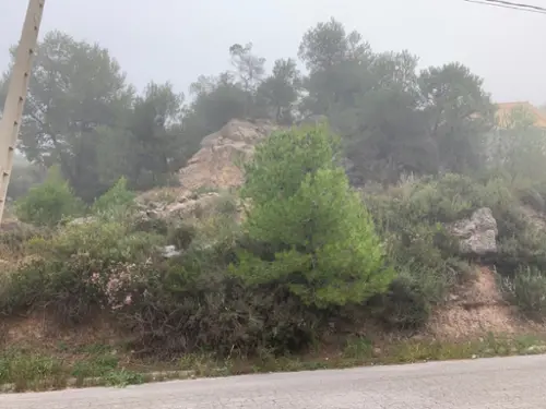 Can Bou Anoia tomt foto 6189761
