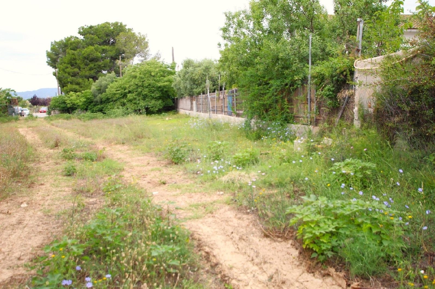  till salu tomt Les Pedreres Baix Penedès 2
