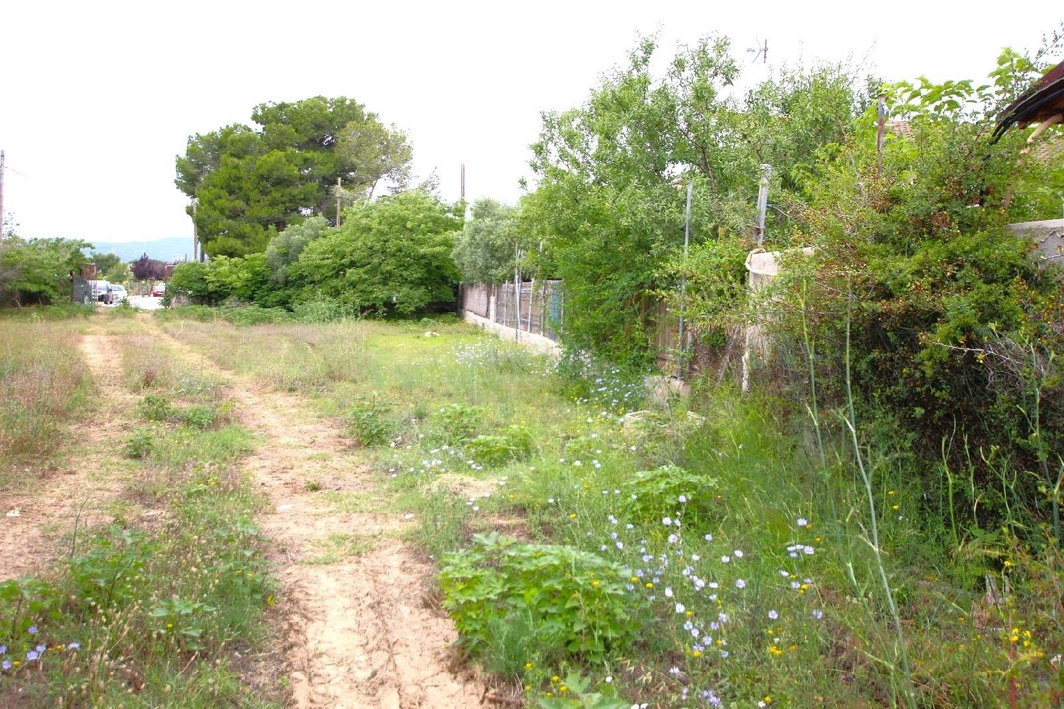  till salu tomt Les Pedreres Baix Penedès 4