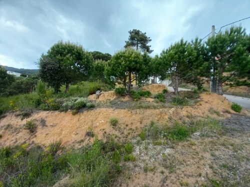 Les Urbanitzacio Farreres Maresme tomt foto 6245024