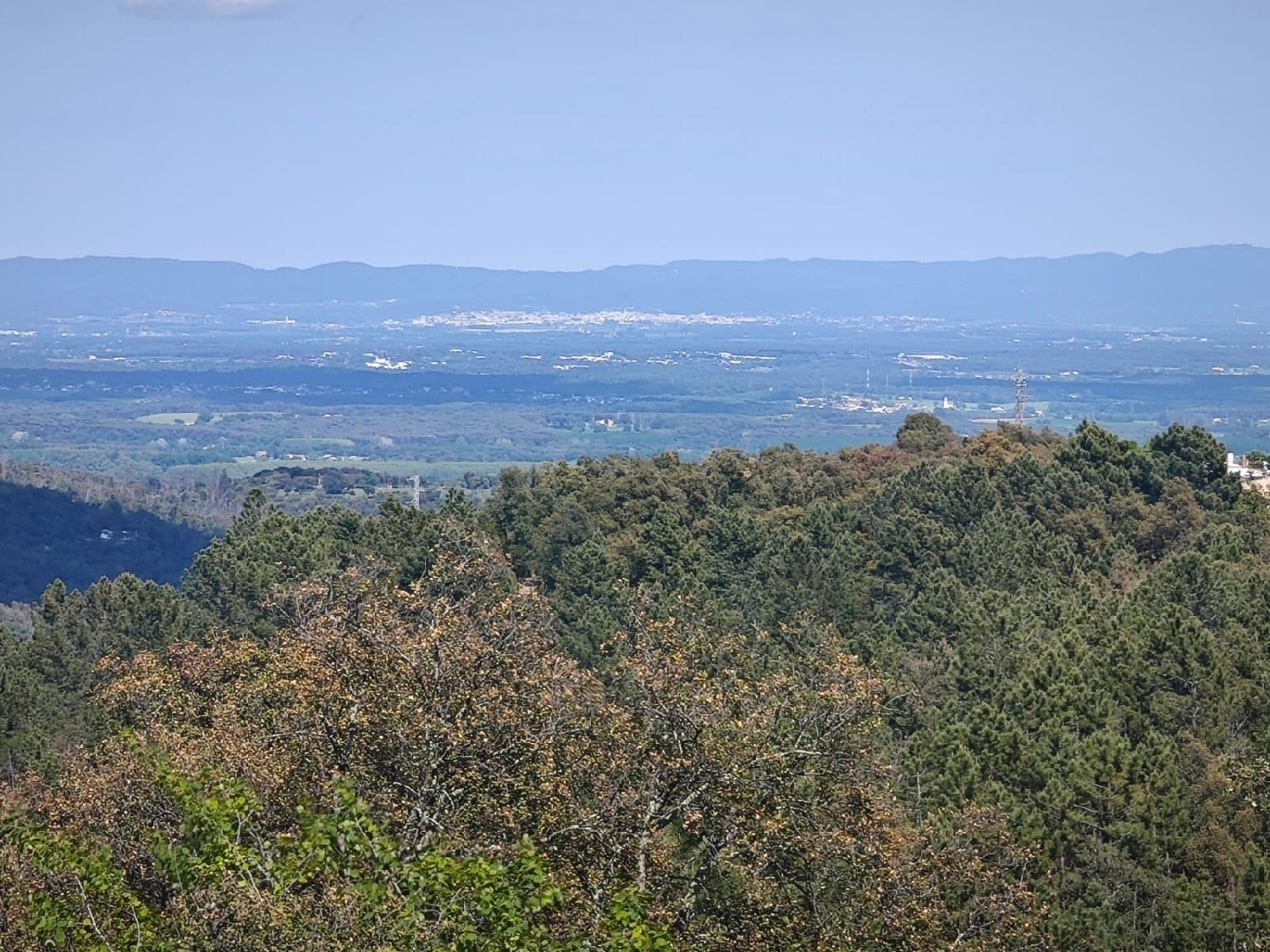  till salu tomt L'esparra Selva 1