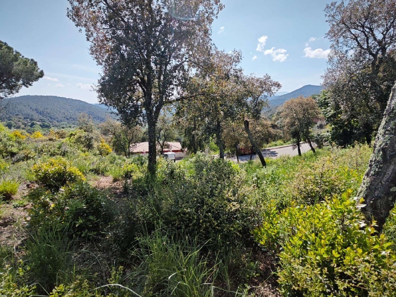 till salu tomt L'esparra Selva 2