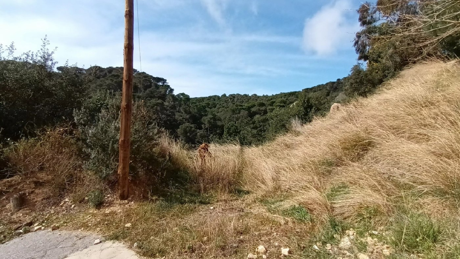 till salu tomt Mas Romeu Residencial Selva 2