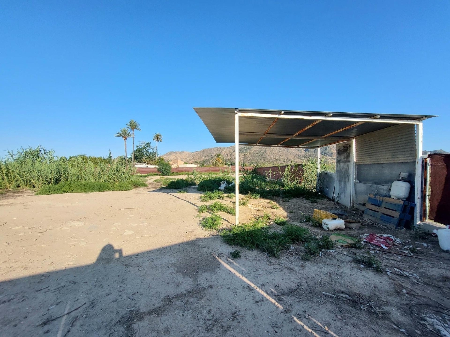 kaufen Grundstück Llano De Brujas Huerta De Murcia 2