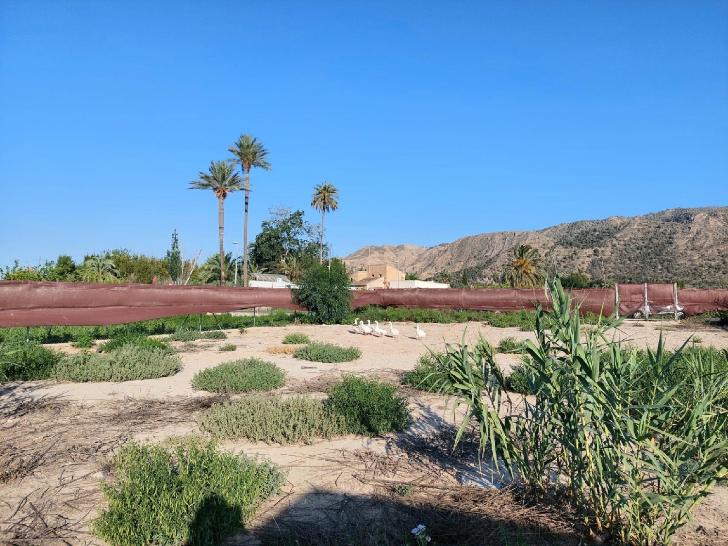  kaufen Grundstück Llano De Brujas Huerta De Murcia 1