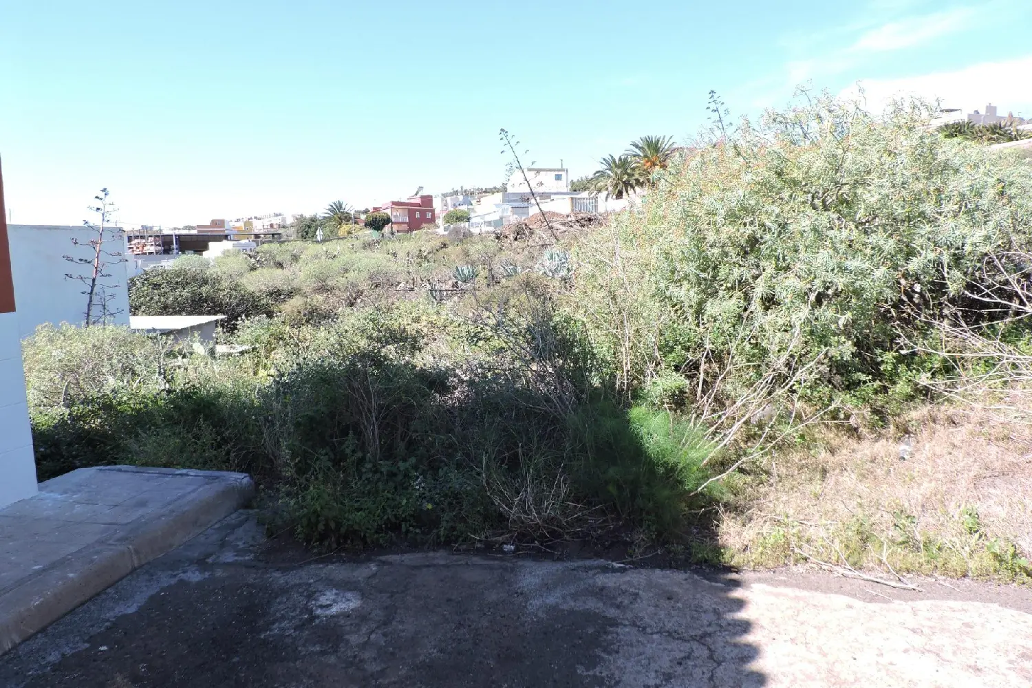  till salu tomt Las Rosas Zona Metropolitana 8