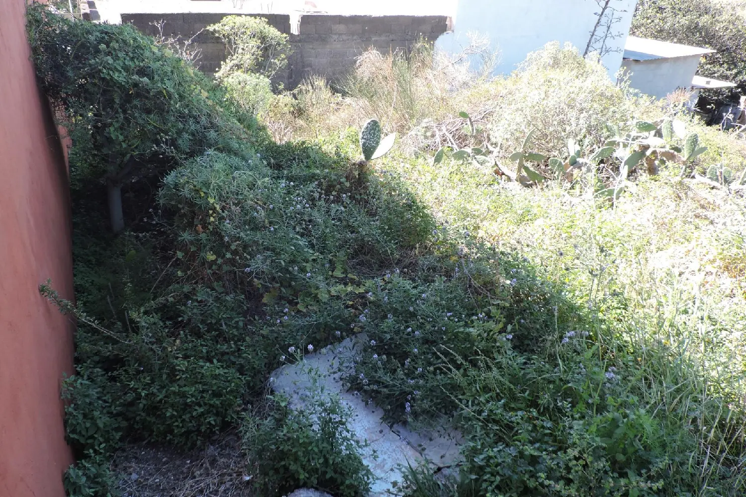  till salu tomt Las Rosas Zona Metropolitana 4