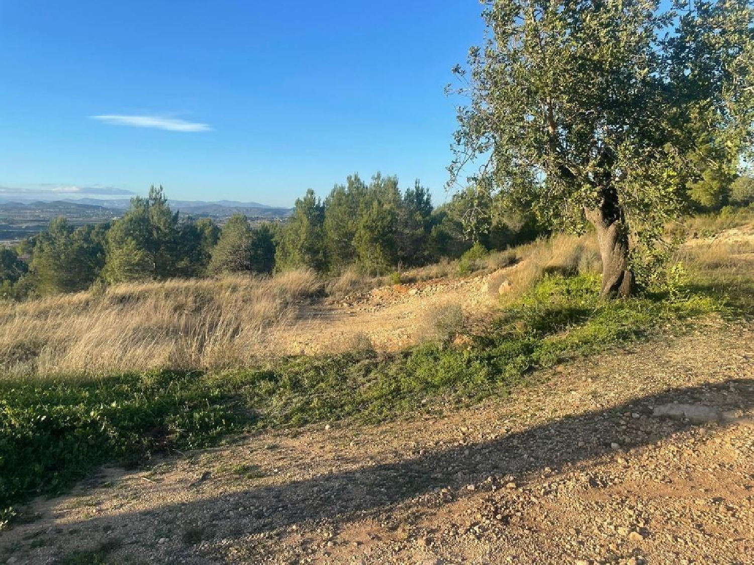  till salu tomt Llombai Ribera Alta 4