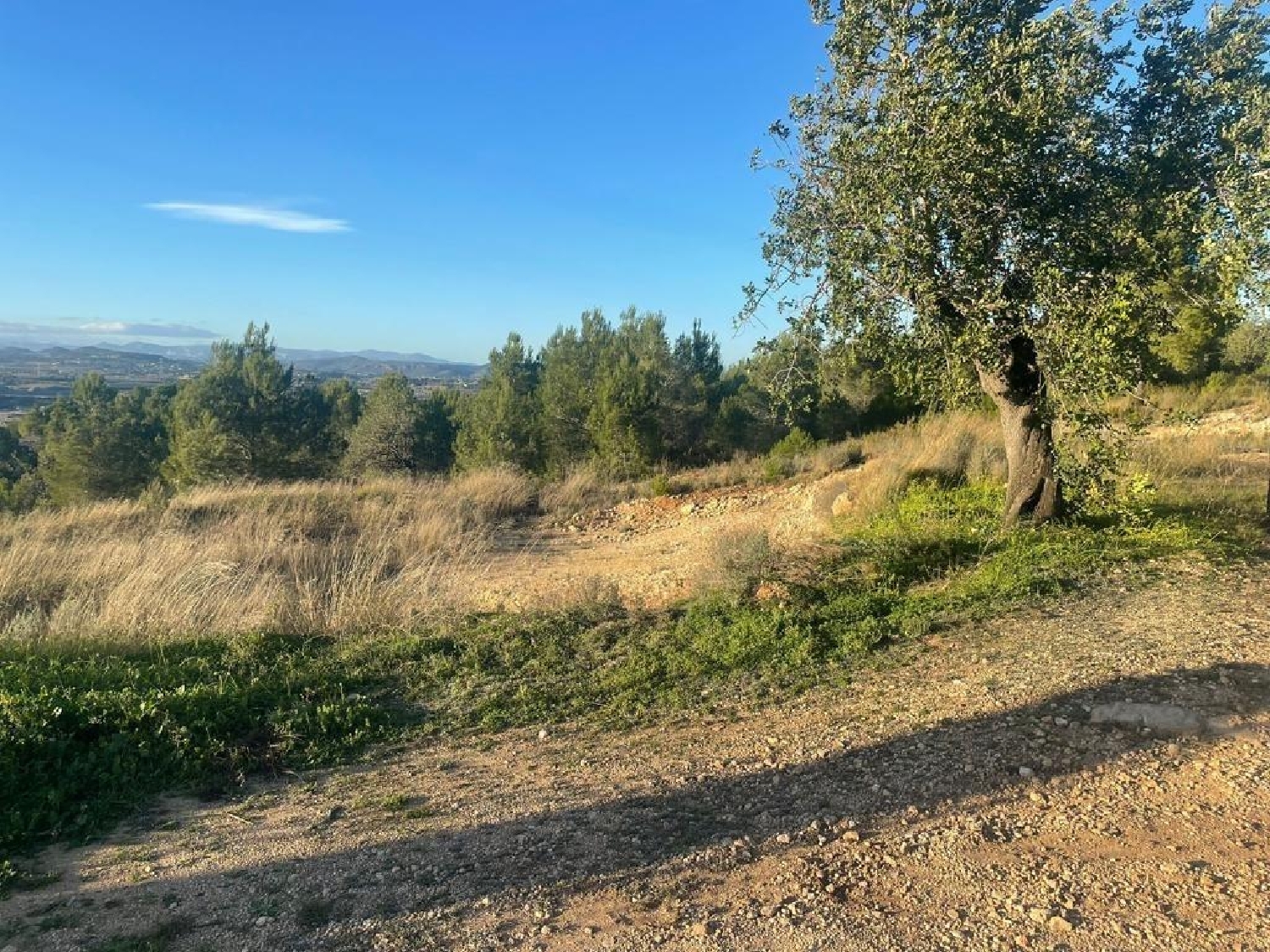  till salu tomt Llombai Ribera Alta 5