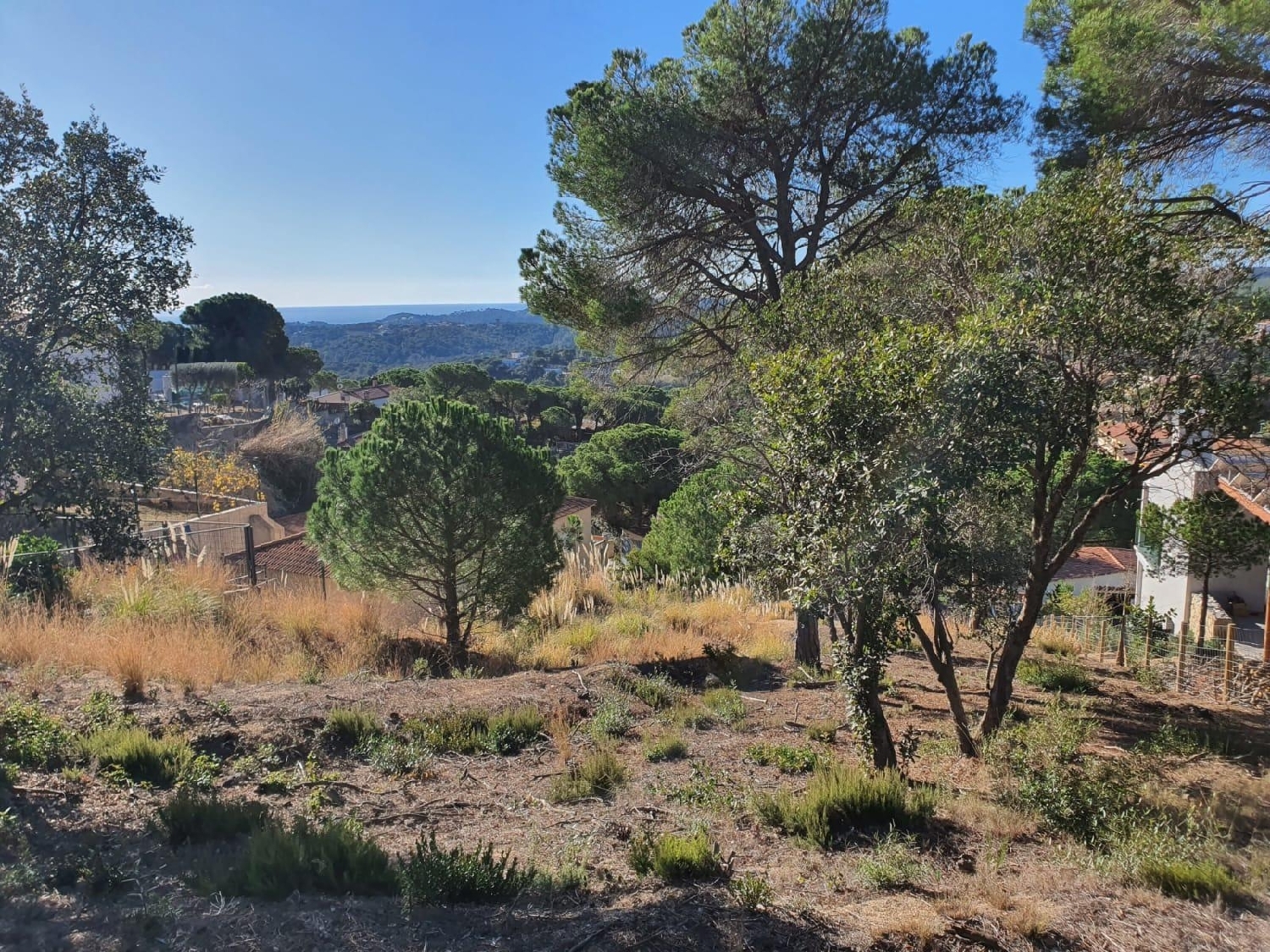 till salu tomt Lloret Blau Selva 3