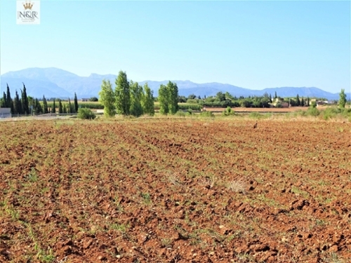 Llubí Pla (Es) tomt foto 6252096
