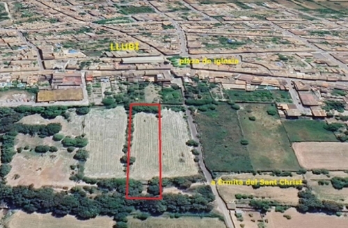 Llubí Pla (Es) tomt foto 6242419