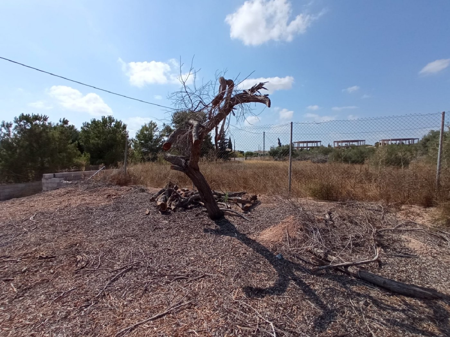 till salu tomt Lo Gea Huerta De Murcia 3
