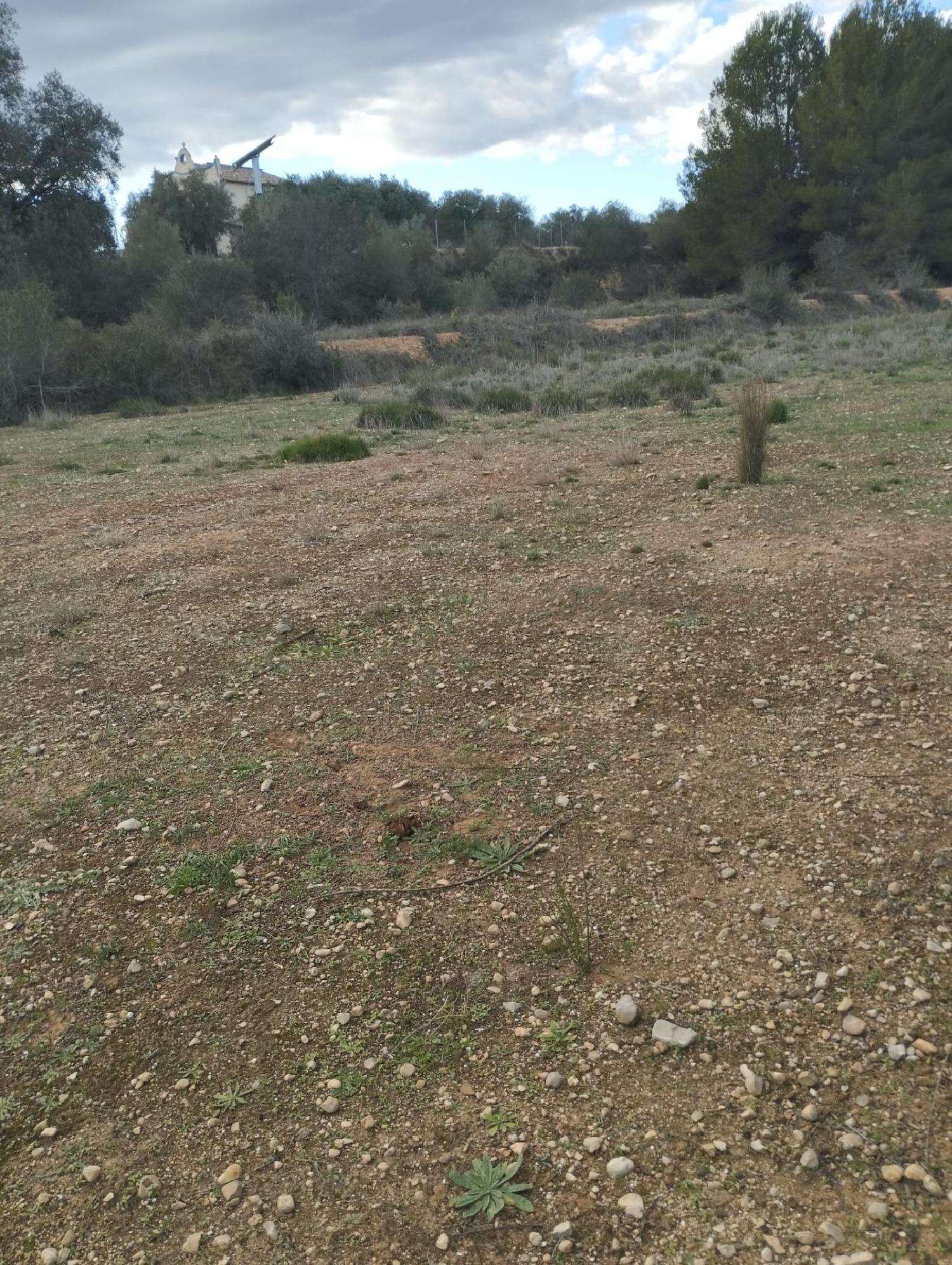  till salu tomt L'olleria Vall D'albaida 4