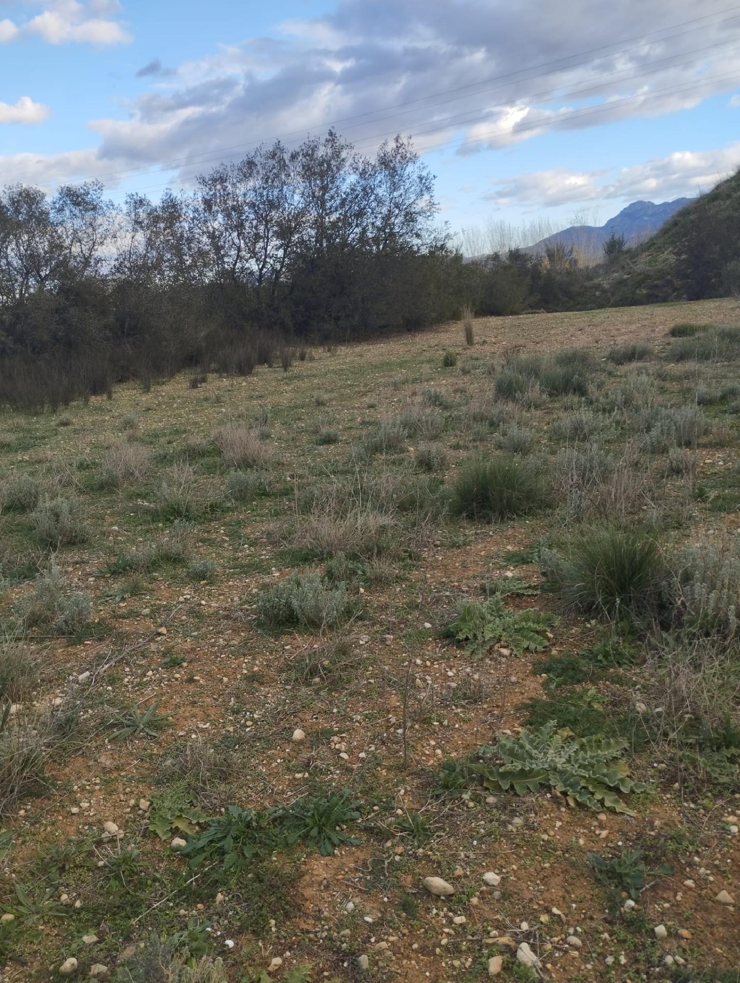 till salu tomt L'olleria Vall D'albaida 2