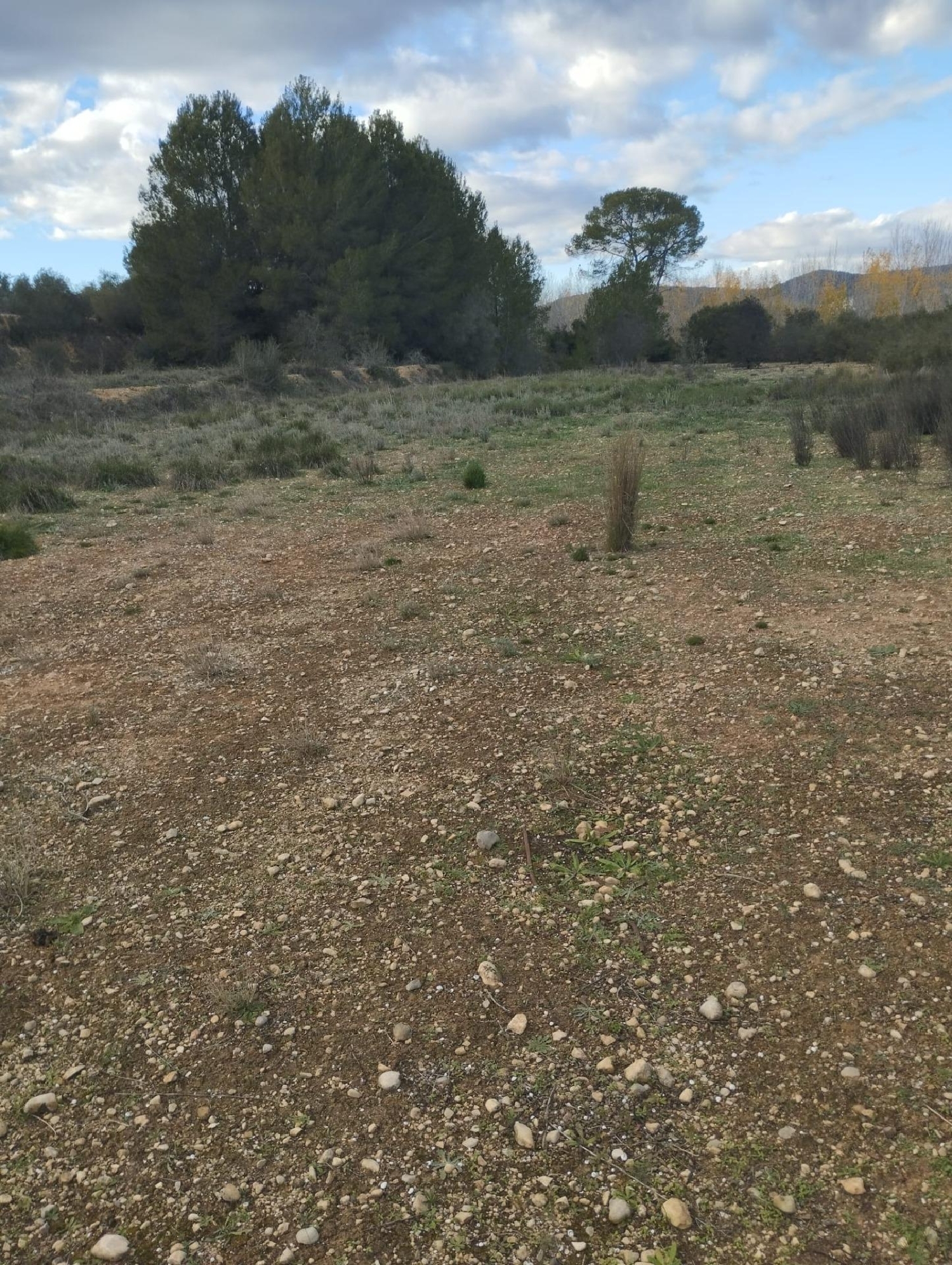 till salu tomt L'olleria Vall D'albaida 3