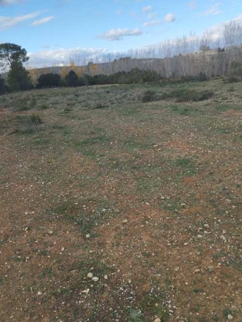L''olleria Vall D''albaida Grundstück Bild 6265489