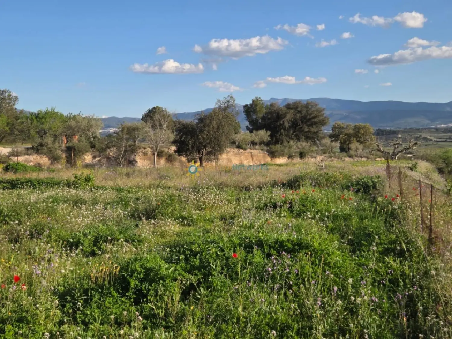  till salu tomt L'olleria Vall D'albaida 6