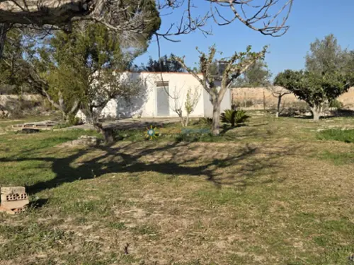 L''olleria Vall D''albaida tomt foto 6175694
