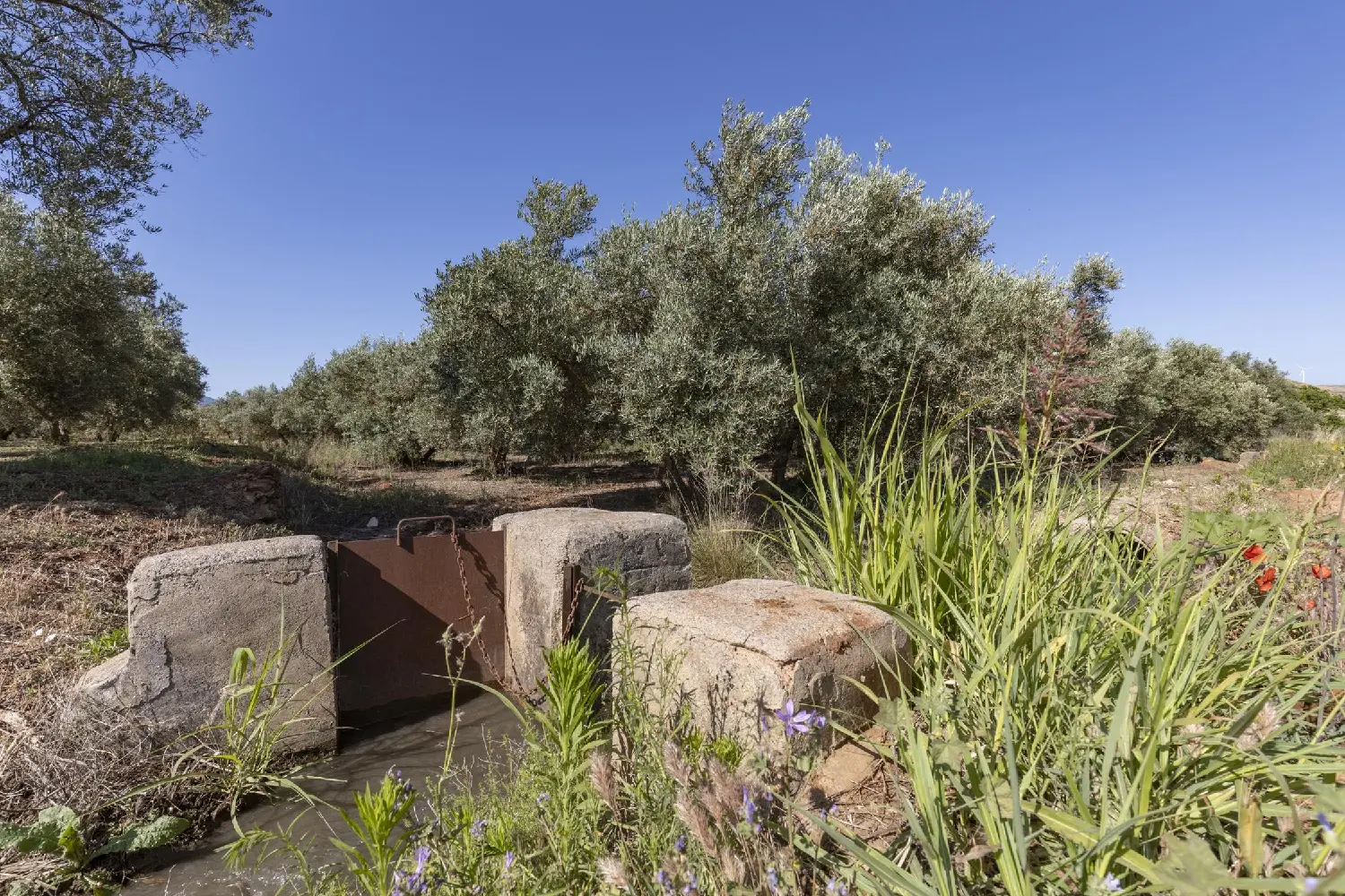  for sale plot Cozvíjar Valle De Lecrín 1
