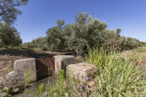 Cozvíjar Valle De Lecrín tomt foto 6205674