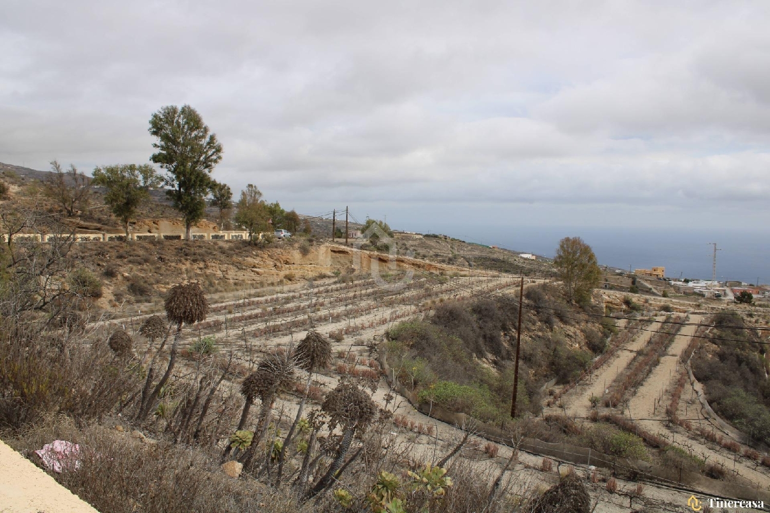  till salu tomt Lomo De Mena Zona Sureste 6