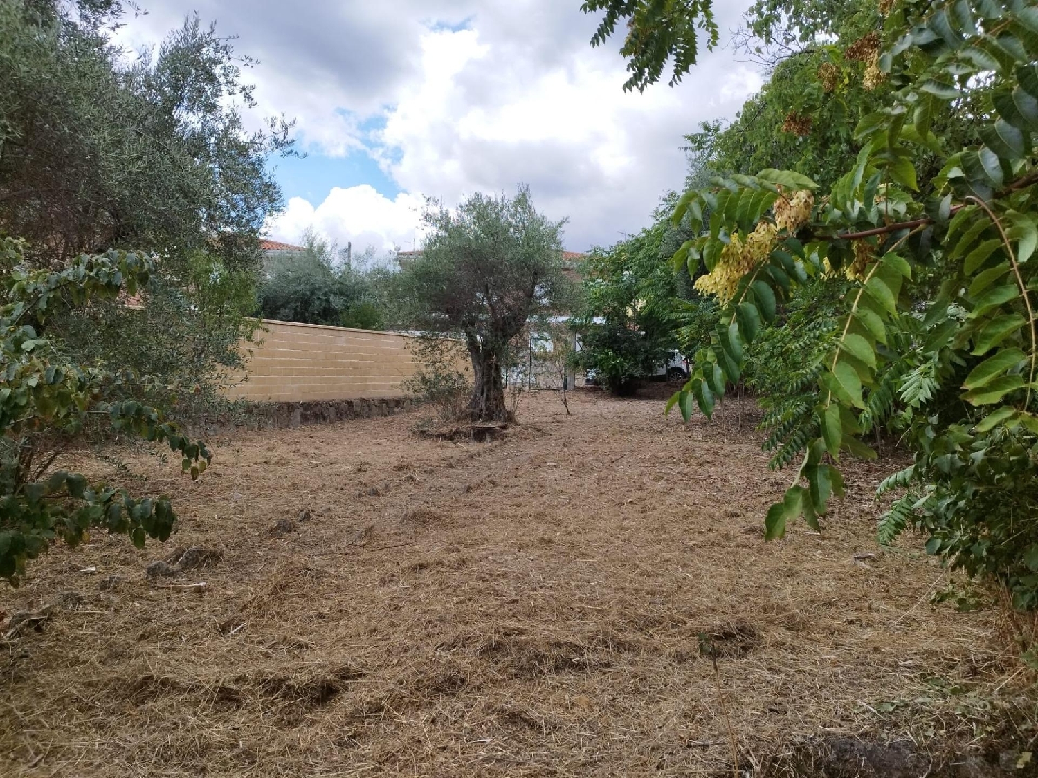  till salu tomt Los Barrancos Sierra Oeste 4