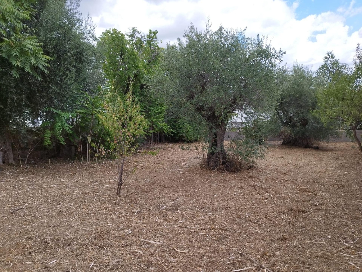  till salu tomt Los Barrancos Sierra Oeste 5
