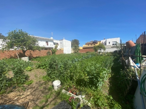 Los Barrios Campo De Gibraltar tomt foto 6237461