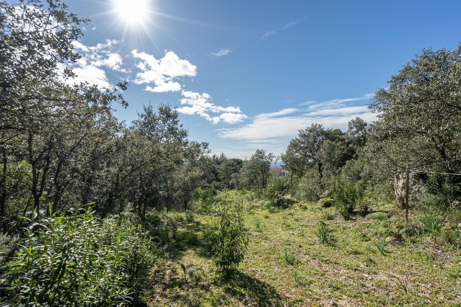  à vendre terrain Los Bomberos Cuenca Alta Del Manzanares 4