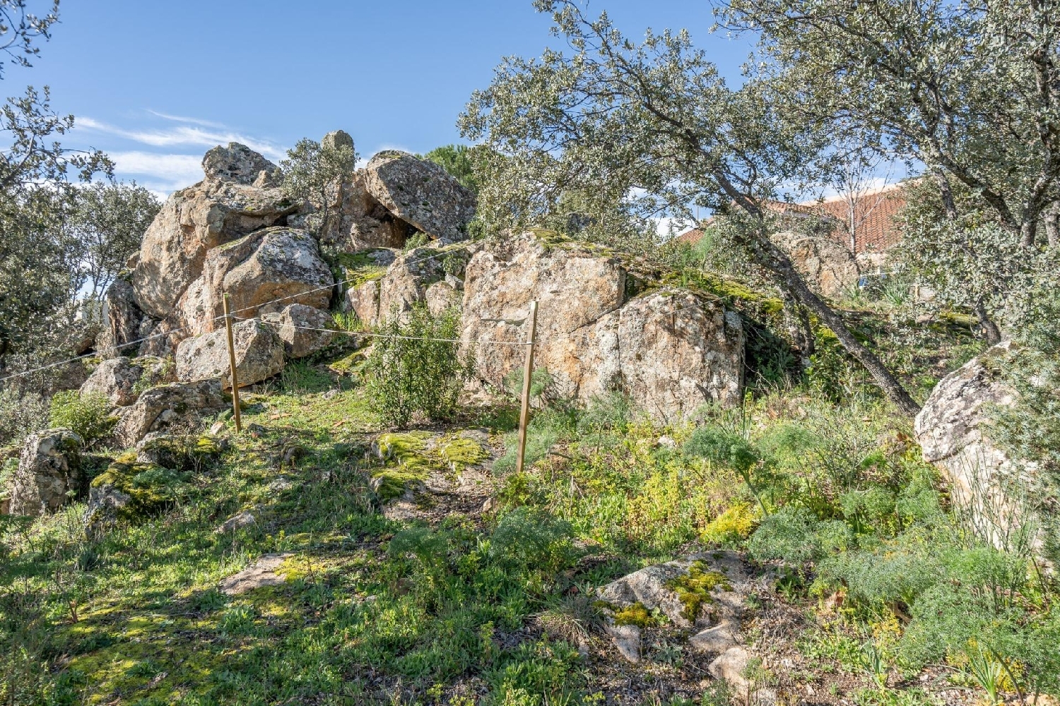  à vendre terrain Los Bomberos Cuenca Alta Del Manzanares 5