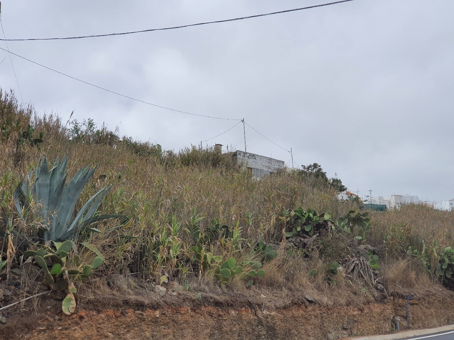  till salu tomt Los Dragos Área Norte 7