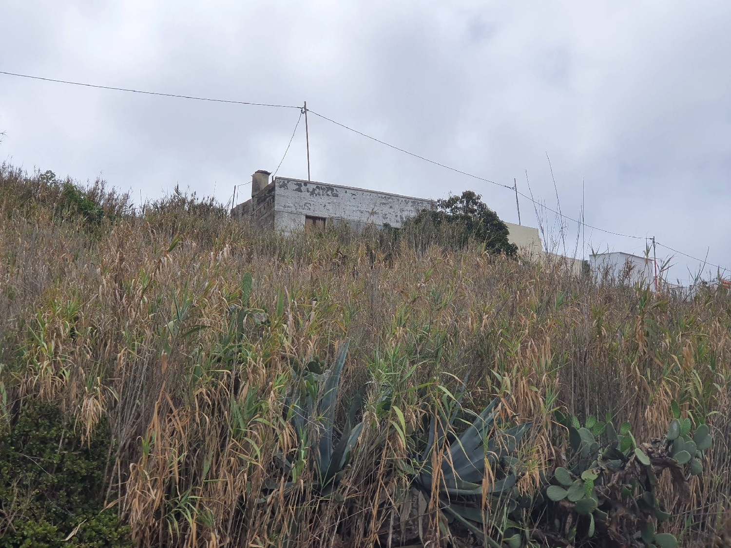  till salu tomt Los Dragos Área Norte 8