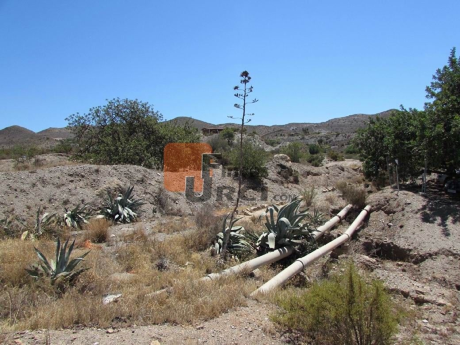  till salu tomt Los Gallegos Alto Guadalentín 4