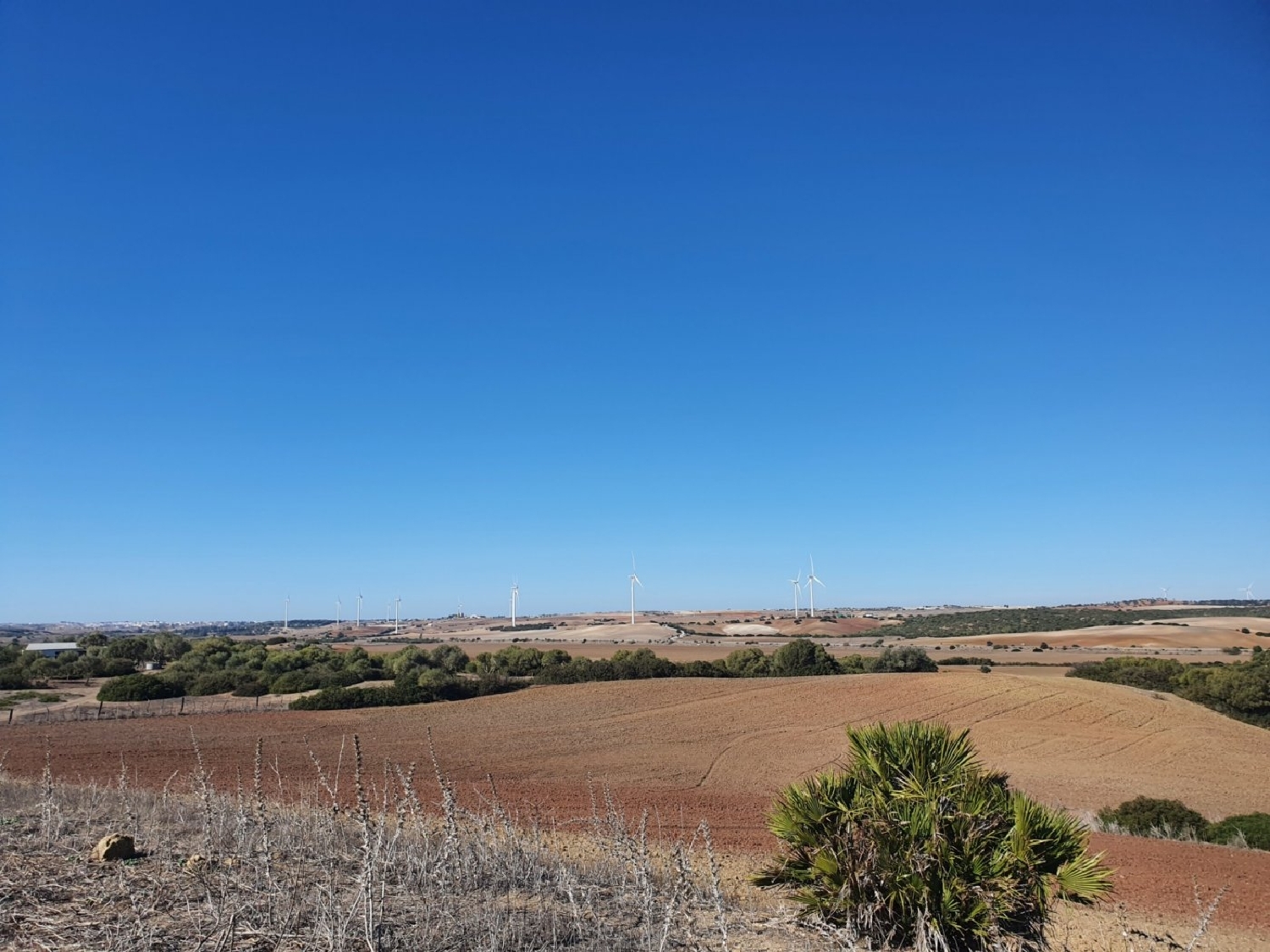  for sale plot Chiclana De La Frontera Bahía De Cádiz 1