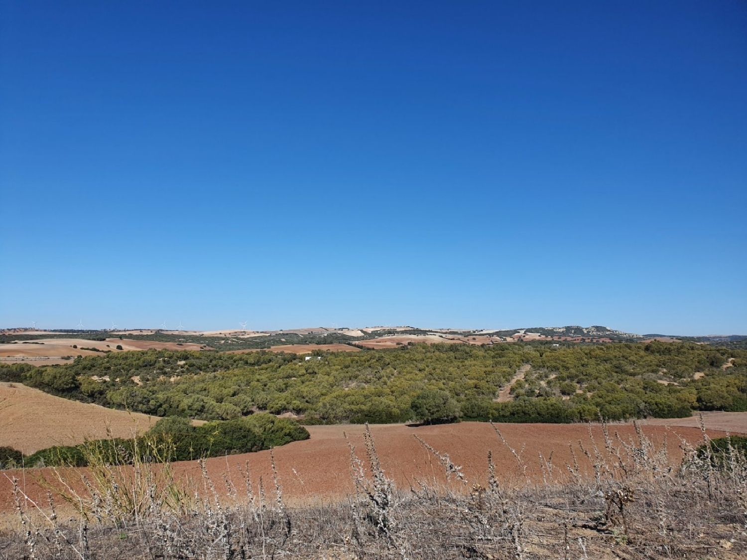  for sale plot Chiclana De La Frontera Bahía De Cádiz 14