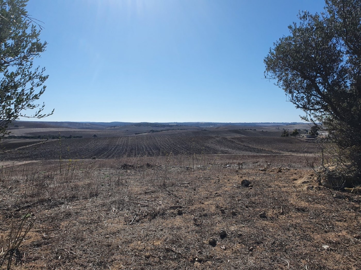  for sale plot Chiclana De La Frontera Bahía De Cádiz 16