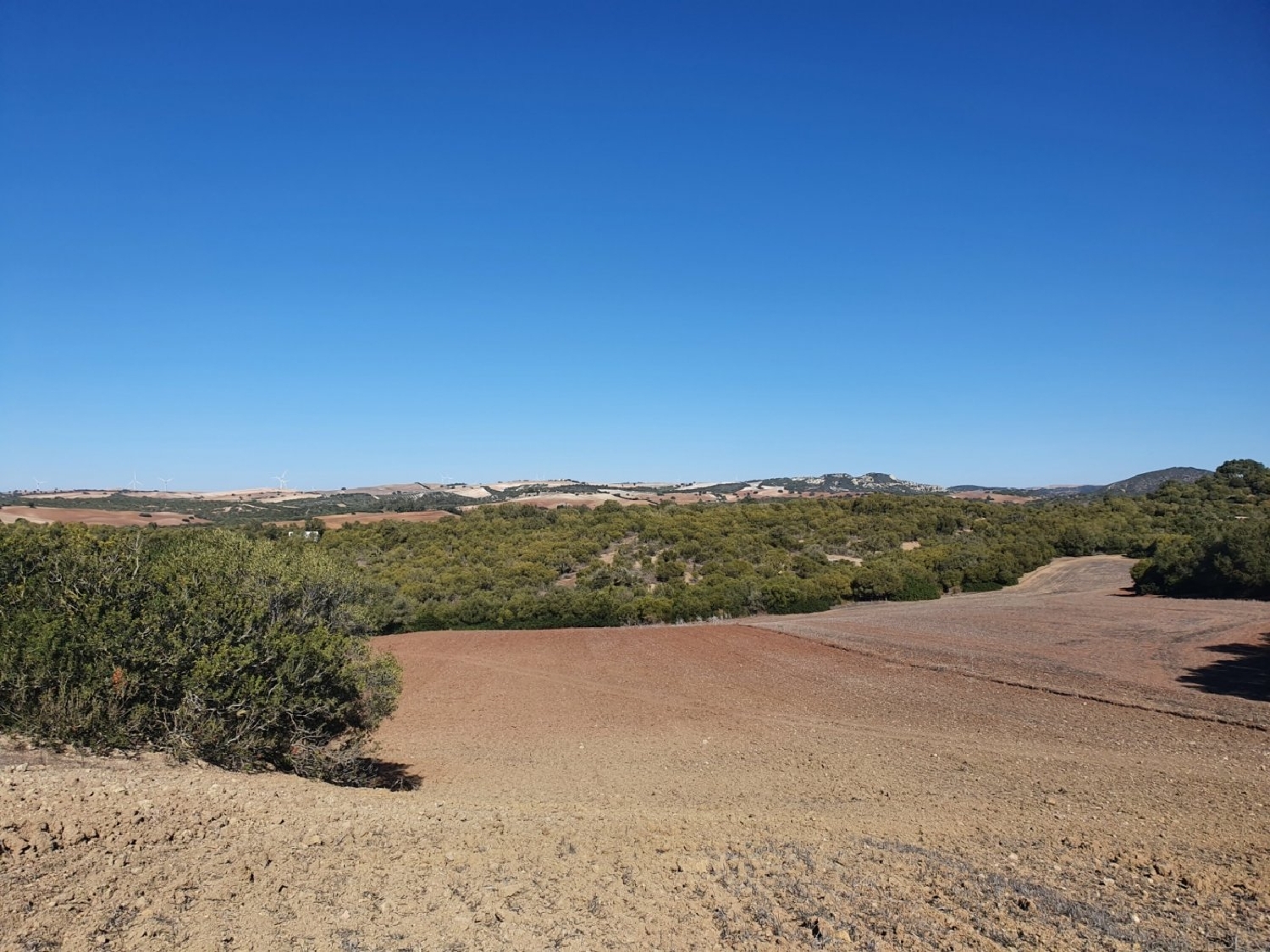 en venta terreno Chiclana De La Frontera Bahía De Cádiz 3