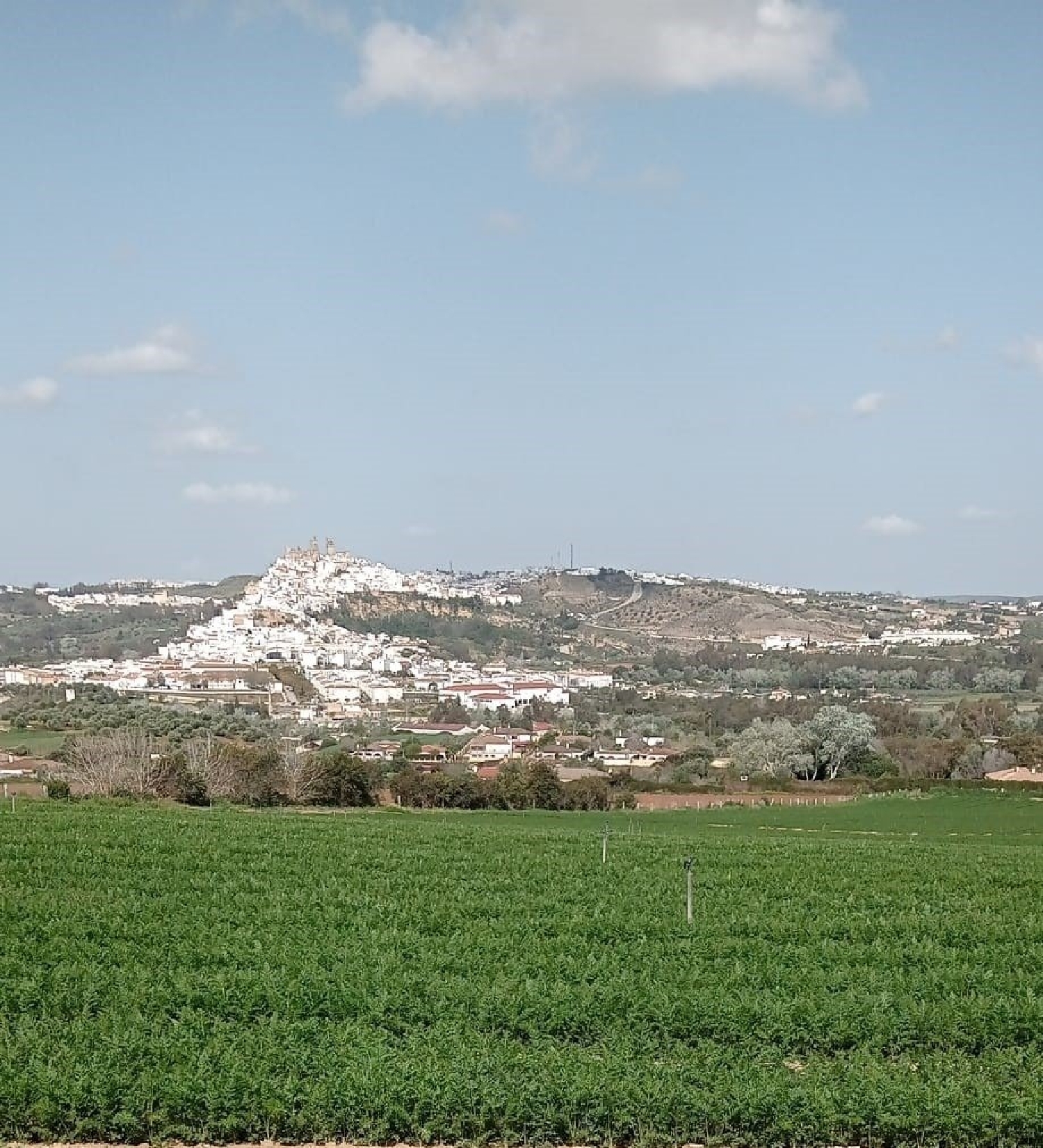 till salu tomt Los Gallos Bahía De Cádiz 1