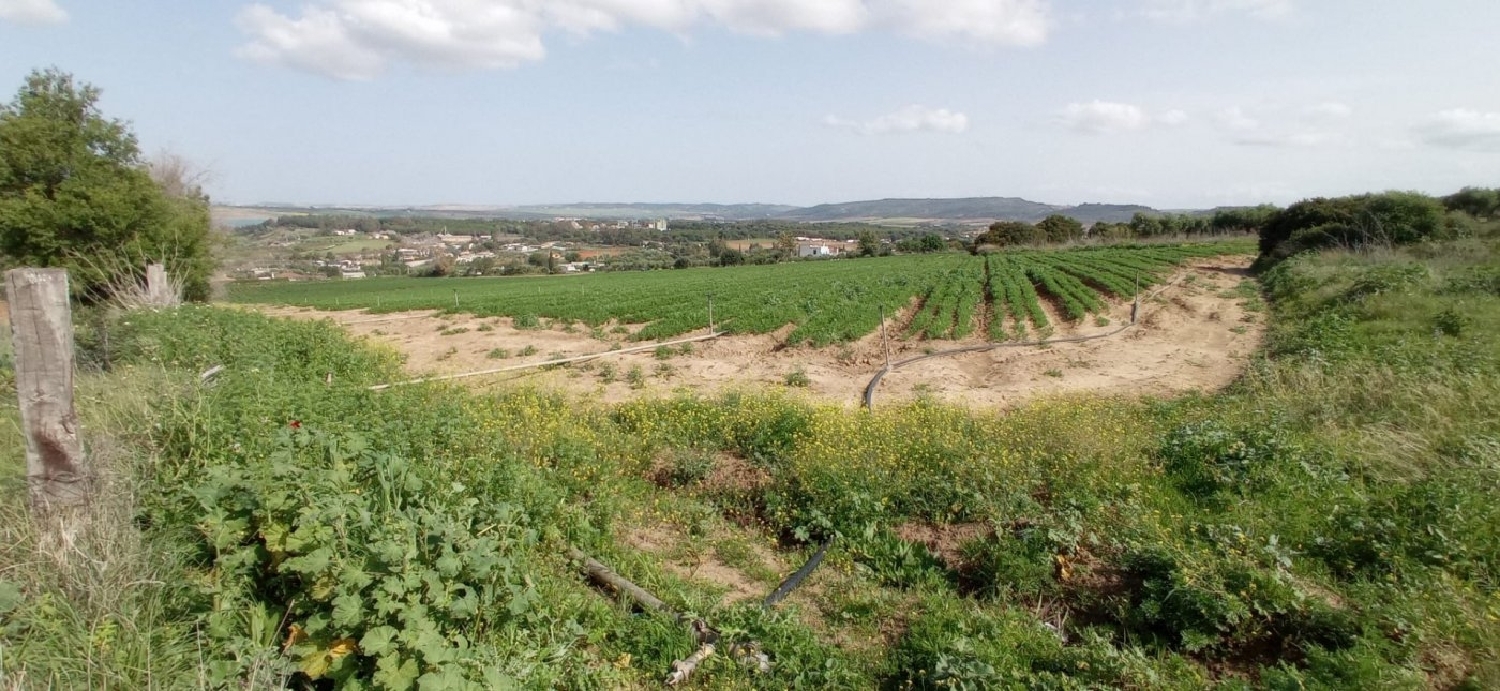 till salu tomt Los Gallos Bahía De Cádiz 2