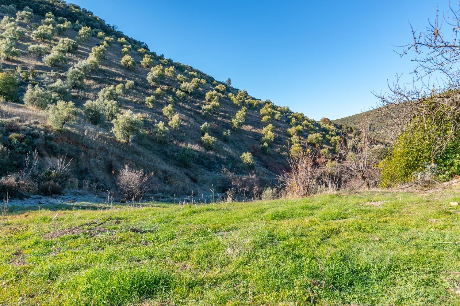  till salu tomt Bonache Sierra De Segura 5
