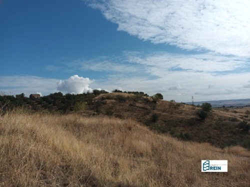 Los Llanos Y Remolinos Cuenca Del Medio Jarama tomt foto 6235755