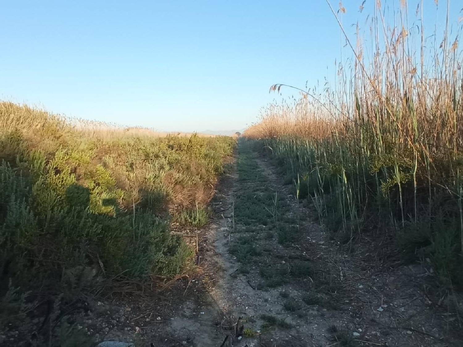  till salu tomt Las Pesqueras Baix Segura 6