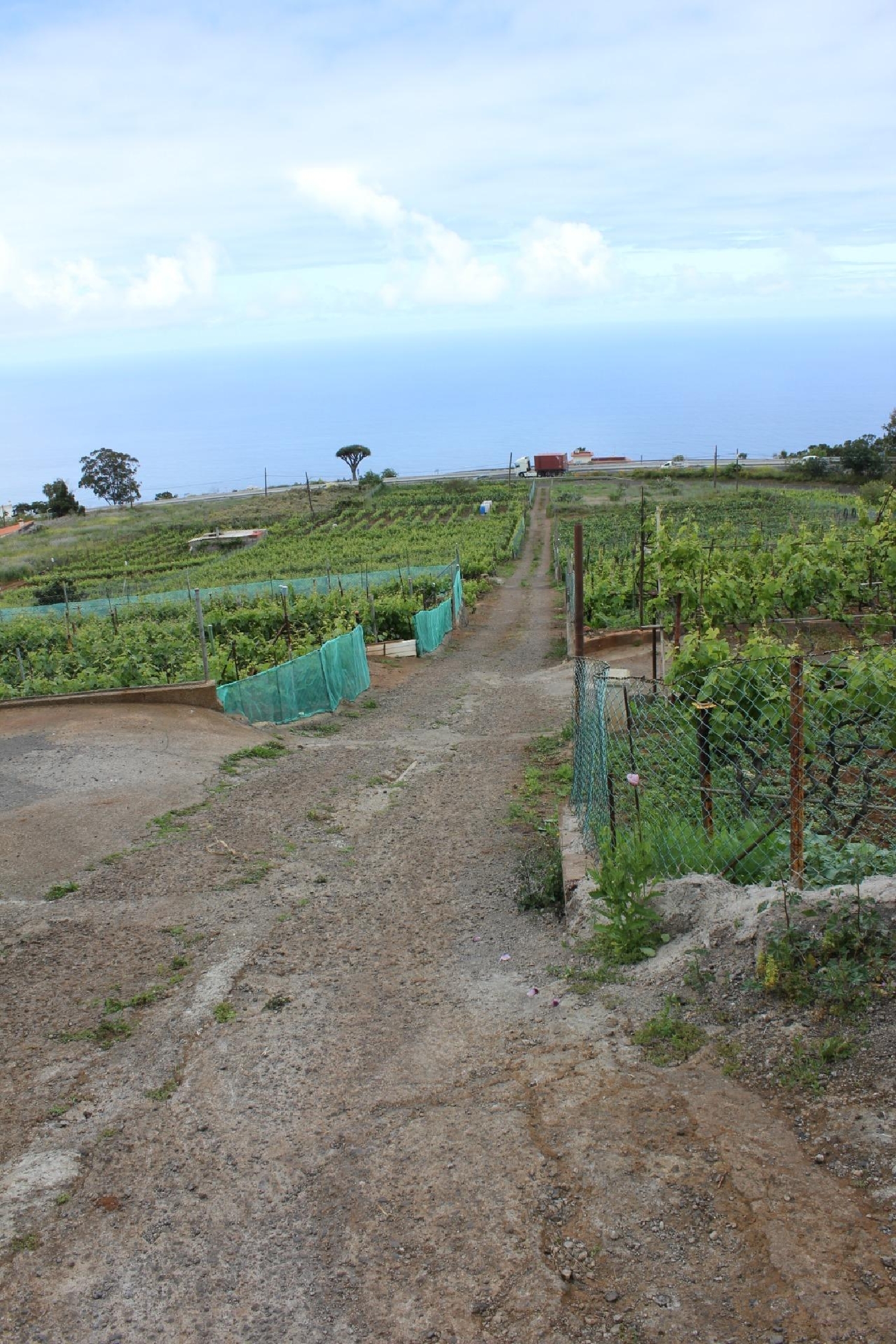  till salu tomt Los Naranjos Zona Norte 5