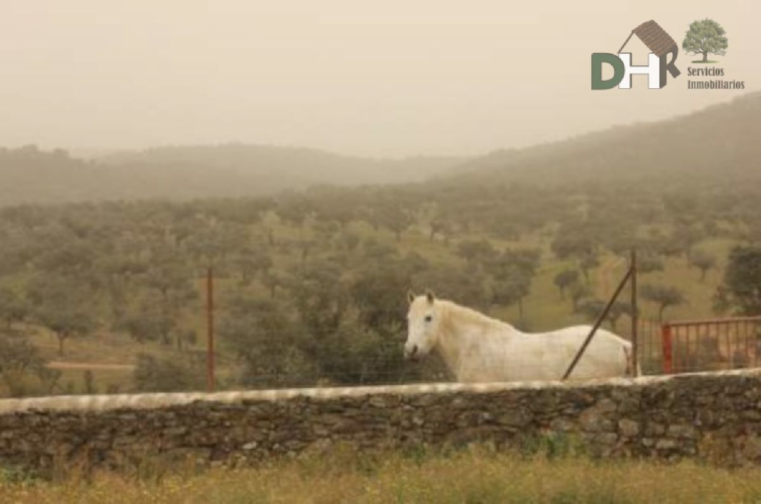  till salu tomt Los Olivos Tierra De Barros 5